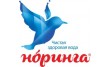 Служба доставки воды Норинга
